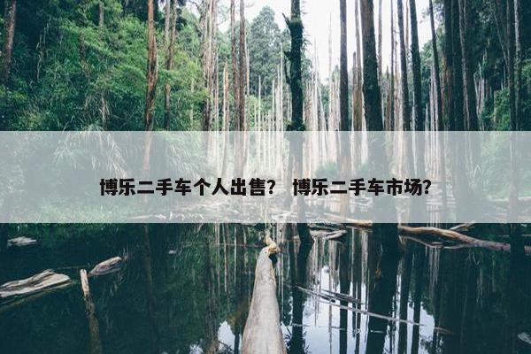 博乐二手车个人出售？ 博乐二手车市场？