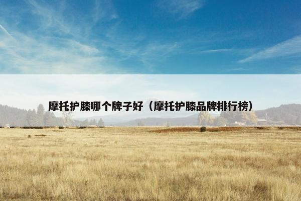 摩托护膝哪个牌子好（摩托护膝品牌排行榜）