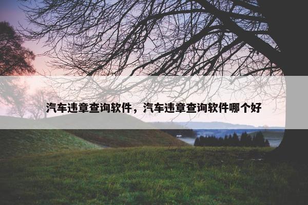 汽车违章查询软件，汽车违章查询软件哪个好