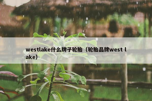 westlake什么牌子轮胎（轮胎品牌west lake）