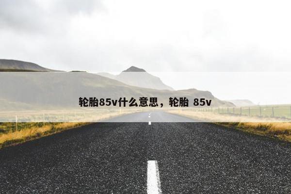 轮胎85v什么意思，轮胎 85v