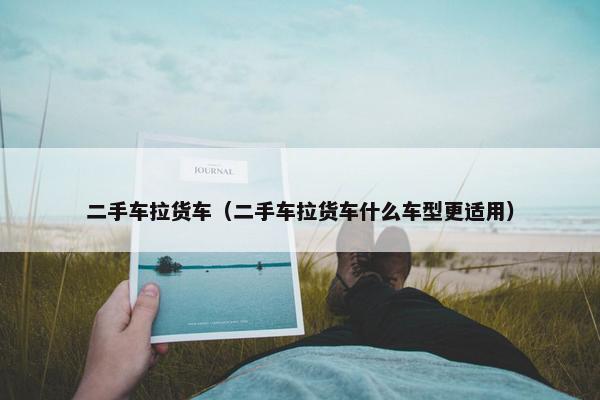 二手车拉货车（二手车拉货车什么车型更适用）