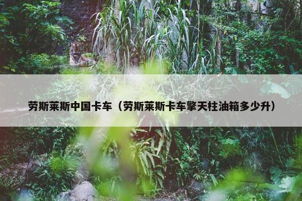 劳斯莱斯中国卡车（劳斯莱斯卡车擎天柱油箱多少升）