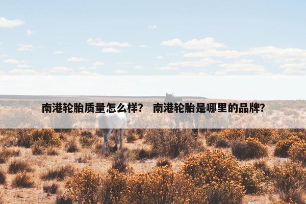 南港轮胎质量怎么样？ 南港轮胎是哪里的品牌？