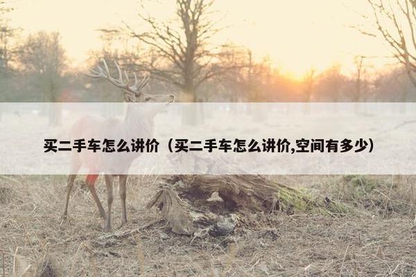买二手车怎么讲价（买二手车怎么讲价,空间有多少）