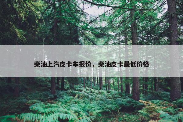 柴油上汽皮卡车报价，柴油皮卡最低价格