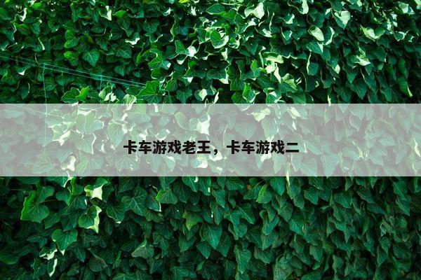 卡车游戏老王，卡车游戏二