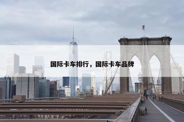 国际卡车排行，国际卡车品牌