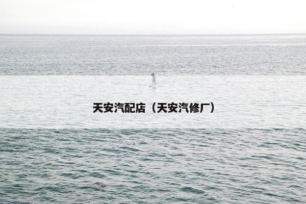 天安汽配店（天安汽修厂）