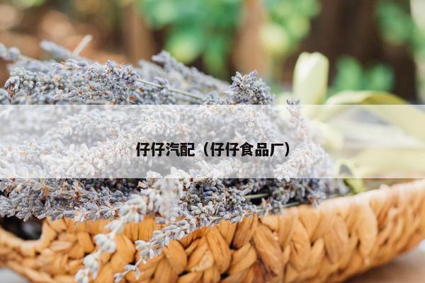 仔仔汽配（仔仔食品厂）