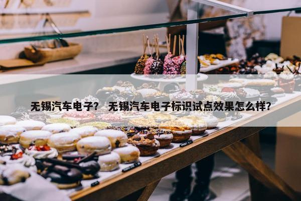 无锡汽车电子？ 无锡汽车电子标识试点效果怎么样？