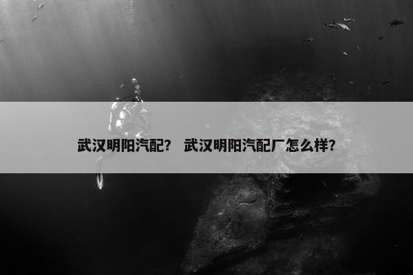 武汉明阳汽配？ 武汉明阳汽配厂怎么样？