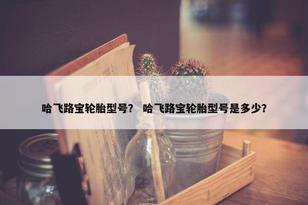 哈飞路宝轮胎型号？ 哈飞路宝轮胎型号是多少？