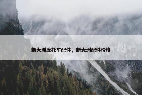 新大洲摩托车配件，新大洲配件价格