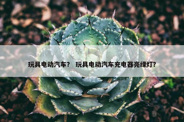玩具电动汽车？ 玩具电动汽车充电器亮绿灯？