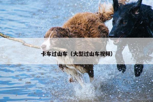 卡车过山车（大型过山车视频）