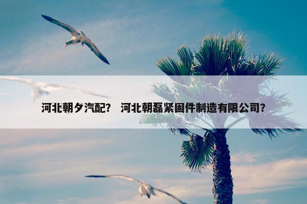 河北朝夕汽配？ 河北朝磊紧固件制造有限公司？