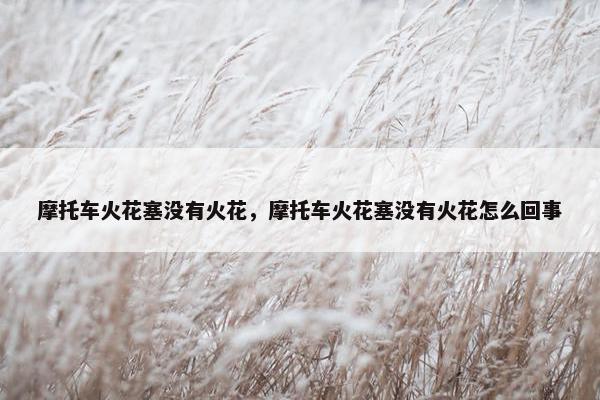 摩托车火花塞没有火花，摩托车火花塞没有火花怎么回事