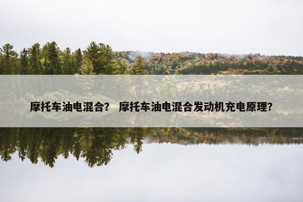 摩托车油电混合？ 摩托车油电混合发动机充电原理？