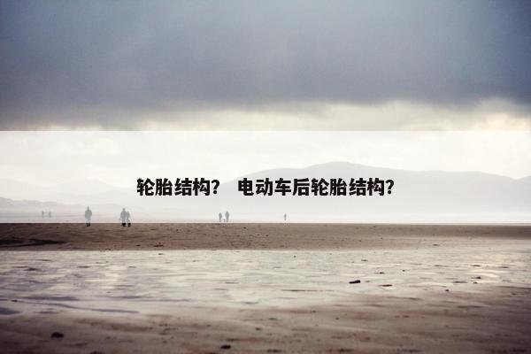轮胎结构？ 电动车后轮胎结构？