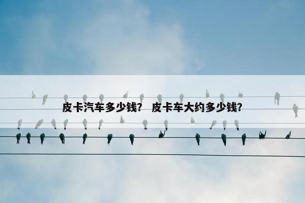 皮卡汽车多少钱？ 皮卡车大约多少钱？
