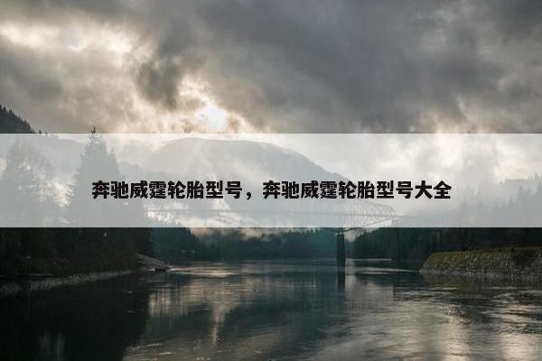奔驰威霆轮胎型号，奔驰威霆轮胎型号大全