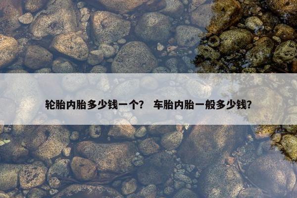 轮胎内胎多少钱一个？ 车胎内胎一般多少钱？