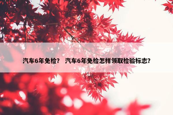 汽车6年免检？ 汽车6年免检怎样领取检验标志？