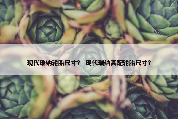 现代瑞纳轮胎尺寸？ 现代瑞纳高配轮胎尺寸？