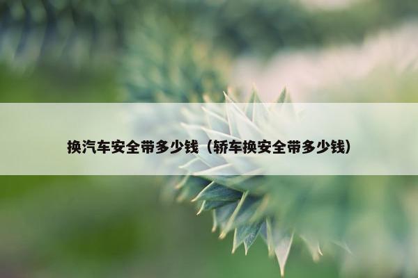 换汽车安全带多少钱（轿车换安全带多少钱）