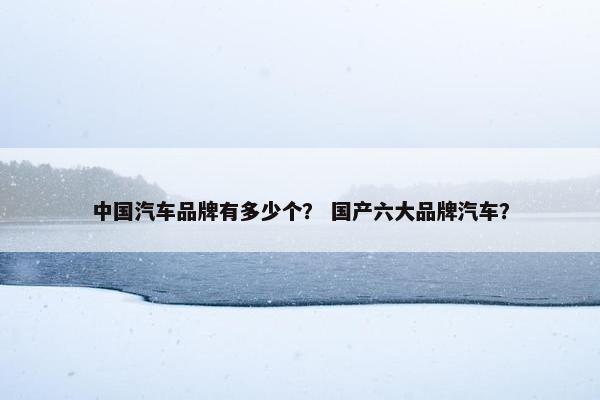 中国汽车品牌有多少个？ 国产六大品牌汽车？