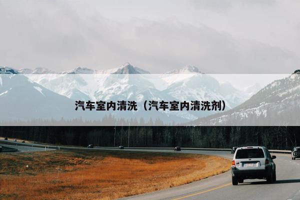 汽车室内清洗（汽车室内清洗剂）