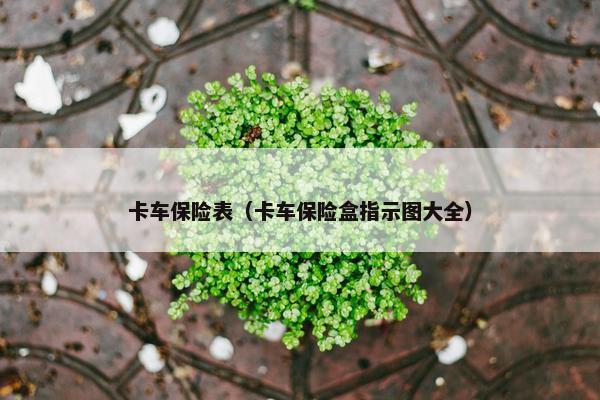 卡车保险表（卡车保险盒指示图大全）