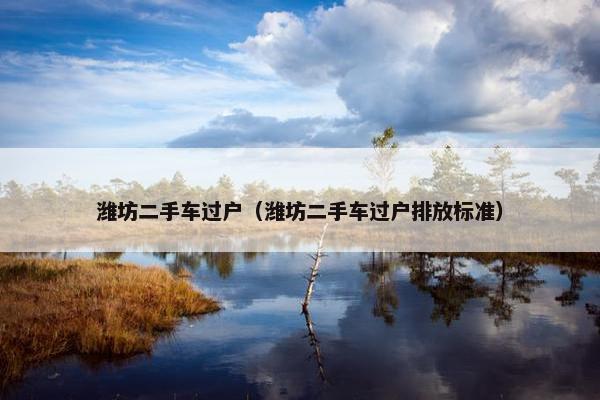 潍坊二手车过户（潍坊二手车过户排放标准）