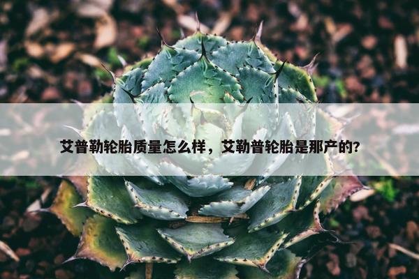 艾普勒轮胎质量怎么样，艾勒普轮胎是那产的?