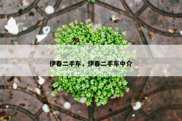 伊春二手车，伊春二手车中介