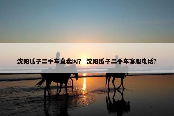 沈阳瓜子二手车直卖网？ 沈阳瓜子二手车客服电话？