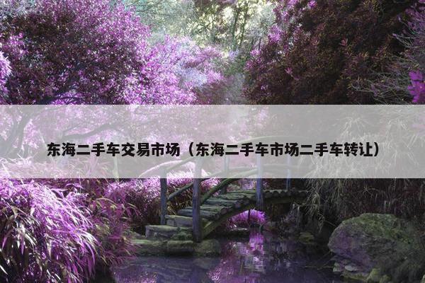 东海二手车交易市场（东海二手车市场二手车转让）