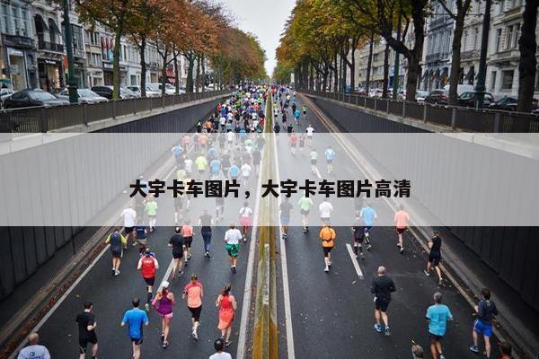 大宇卡车图片，大宇卡车图片高清