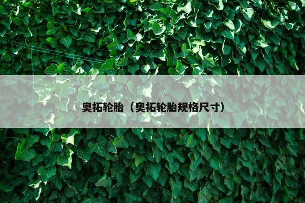 奥拓轮胎（奥拓轮胎规格尺寸）