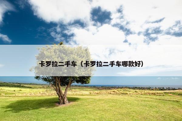 卡罗拉二手车（卡罗拉二手车哪款好）