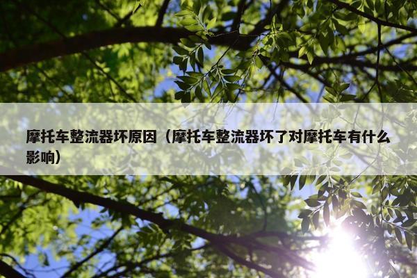 摩托车整流器坏原因（摩托车整流器坏了对摩托车有什么影响）