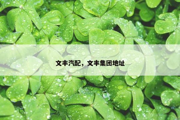 文丰汽配，文丰集团地址