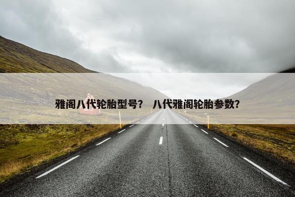 雅阁八代轮胎型号？ 八代雅阁轮胎参数？