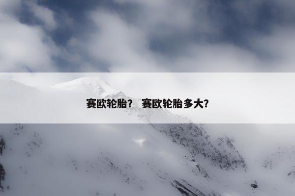赛欧轮胎？ 赛欧轮胎多大？