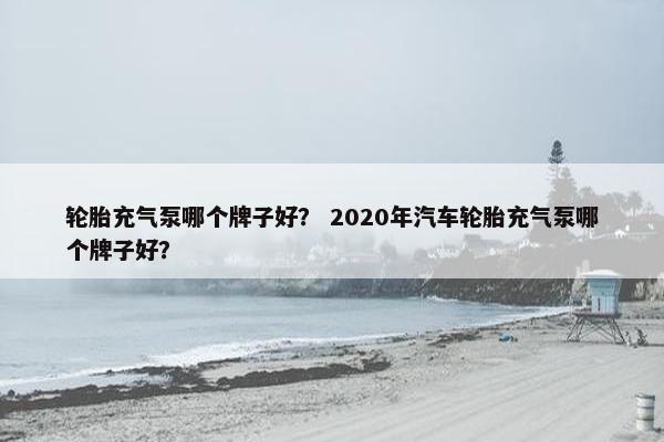 轮胎充气泵哪个牌子好？ 2020年汽车轮胎充气泵哪个牌子好？