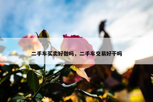 二手车买卖好做吗，二手车交易好干吗