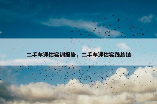 二手车评估实训报告，二手车评估实践总结