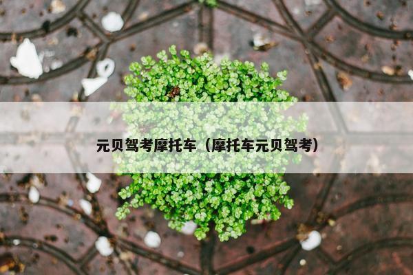 元贝驾考摩托车（摩托车元贝驾考）