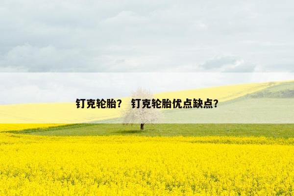钉克轮胎？ 钉克轮胎优点缺点？